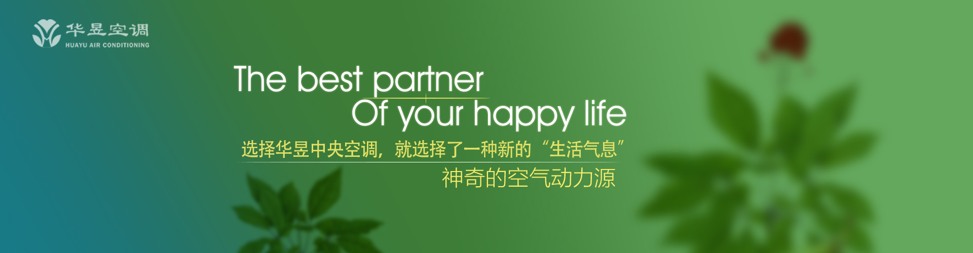 波路壮阔网